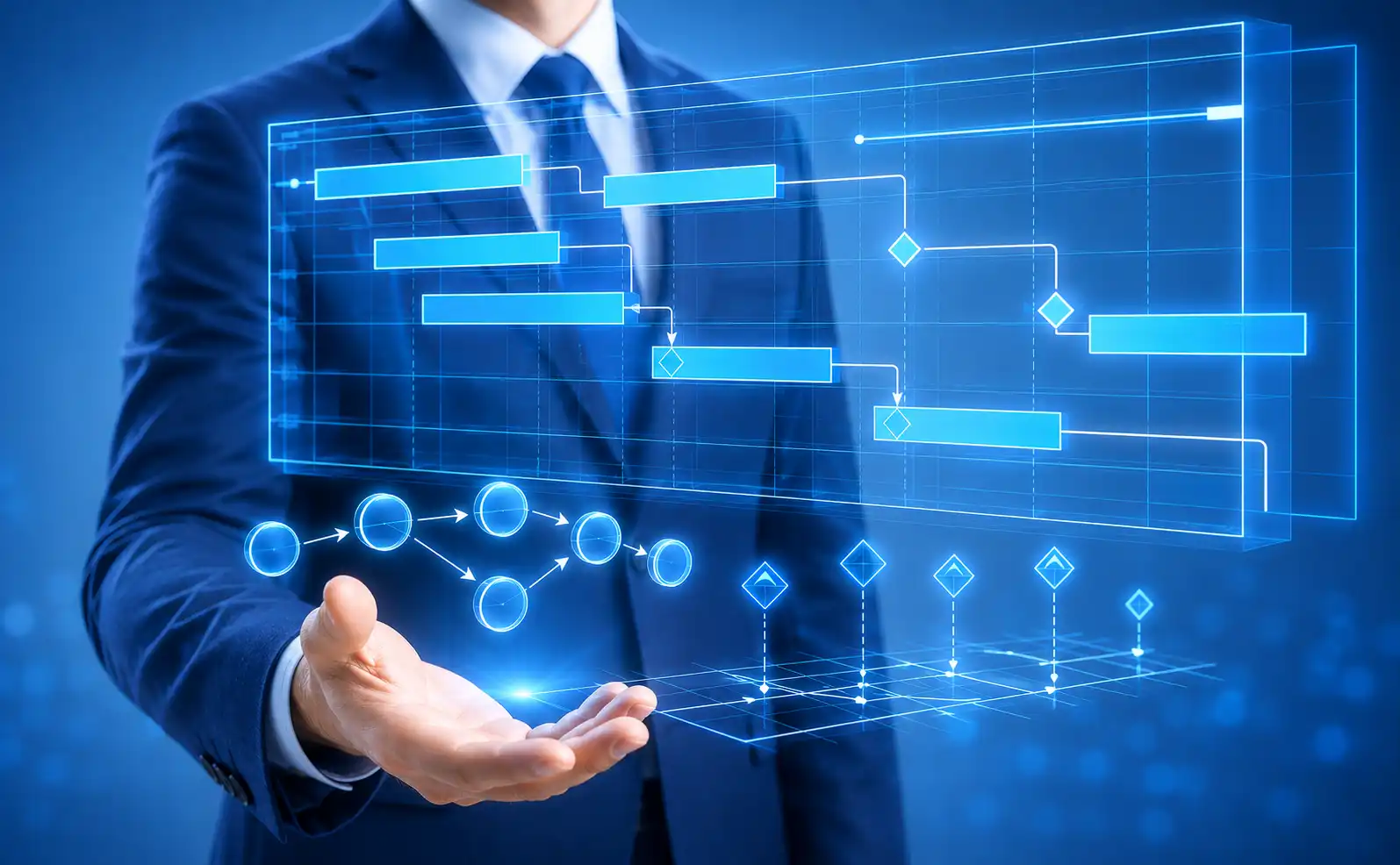 Project Management and PMO Services
